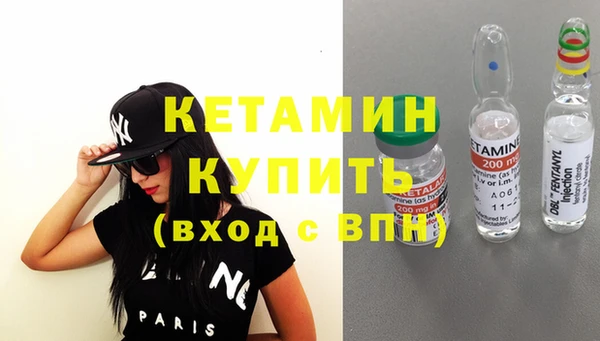 хмурый Аркадак
