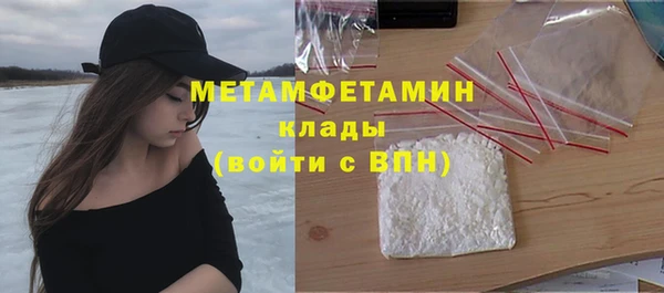 хмурый Аркадак