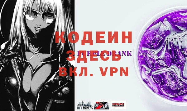 хмурый Аркадак