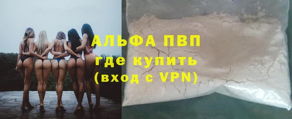 хмурый Аркадак