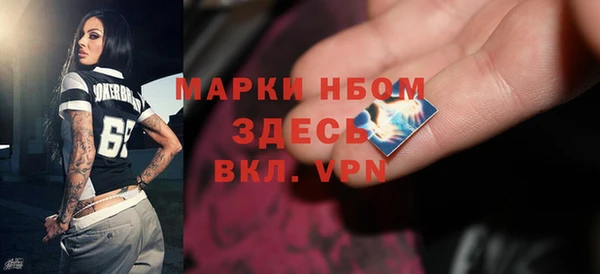 хмурый Аркадак