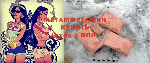 хмурый Аркадак