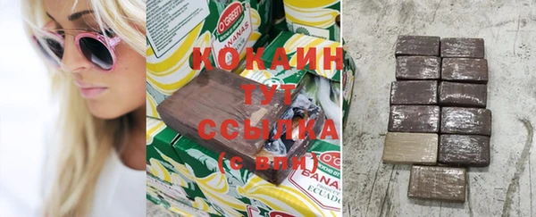 хмурый Аркадак