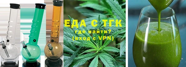 хмурый Аркадак