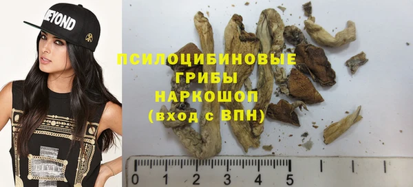 прущие крисы Арсеньев