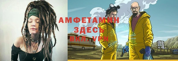 хмурый Аркадак
